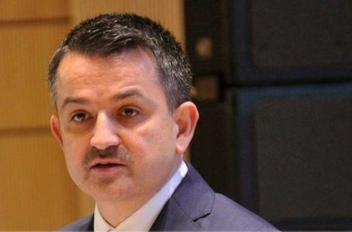 Türkiyəli nazir Azərbaycana təşəkkür etdi - FOTO