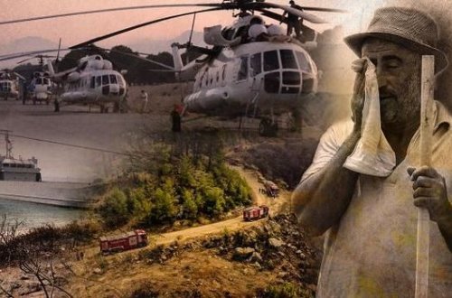 Türkiyədə meşə yanğınları ilə bağlı son vəziyyət - FOTO