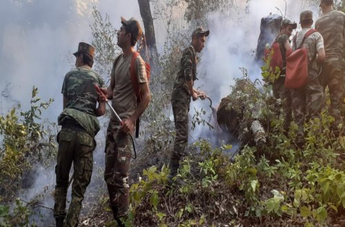 FHN: Yardımlıda meşə zolağında yanğının söndürülməsi əməliyyatları davam edir