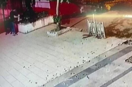 Hər kəsin gözü önündə pişiyi yerə vurub öldürdü - ANBAAN VİDEO