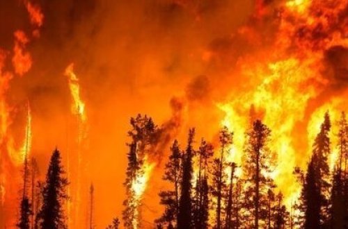 Hər kəsin gözlədiyi xəbər: Türkiyədə yanğın bölgəsinə güclü yağış yağacaq