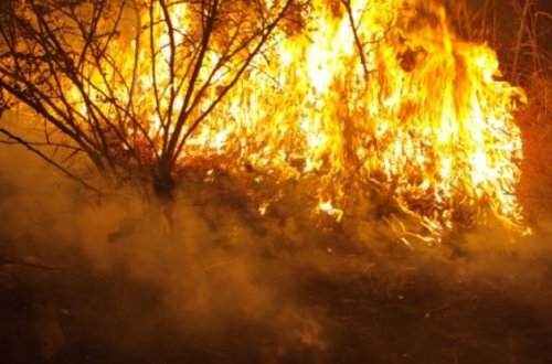 Ağsu və Şamaxıdakı yanğın söndürülüb