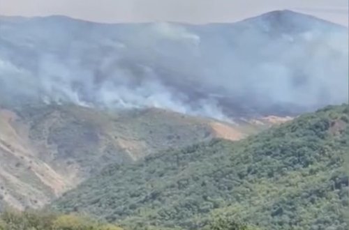 Ağsuda yanğının meşəyə keçməsinin qarşısı alınır: Əraziyə FHN və ETSN əməkdaşları cəlb olu - YENİLƏNİB + VİDEO
