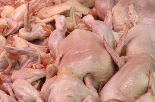 Azərbaycana gətirilən toyuq əti yararsız çıxdı