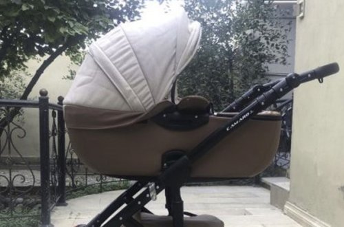 Min dollarlıq uşaq arabasını oğurladı