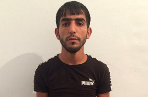 Həyətində 22 kq çətənə yetişdirdi - Fotolar