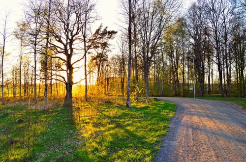 43 dərəcə isti olacaq