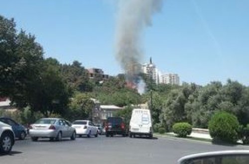 Bakıda yaşıllıq ərazidə baş verən yanğın söndürüldü - YENİLƏNİB + FOTO