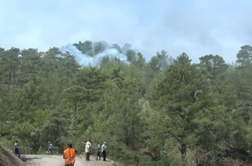 Türkiyədə yanğın davam edir - VİDEO