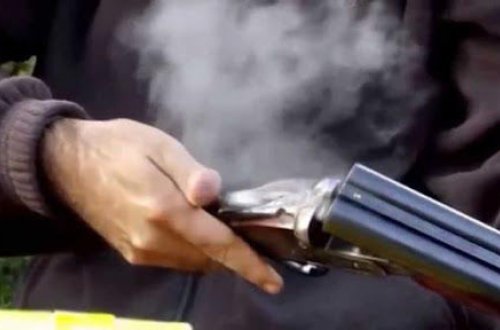 Şəmkirdə qayınata gəlinini güllələdi