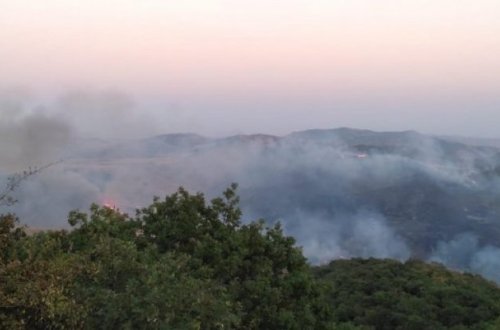 Quba və Qəbələdə meşə yanğınları olub