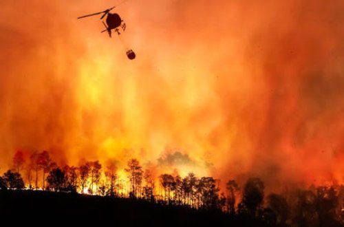Türkiyədə son 10 gündə 84 minə yaxın hektar yanaraq külə dönüb