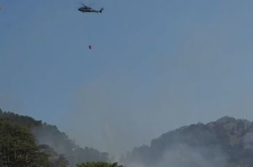 В Турции продолжается борьба с масштабными пожарами - ВИДЕО