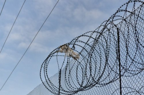 Narkotik vasitələrin qanunsuz dövriyyəsinə görə cəza çəkən məhkumların sayı açıqlanıb