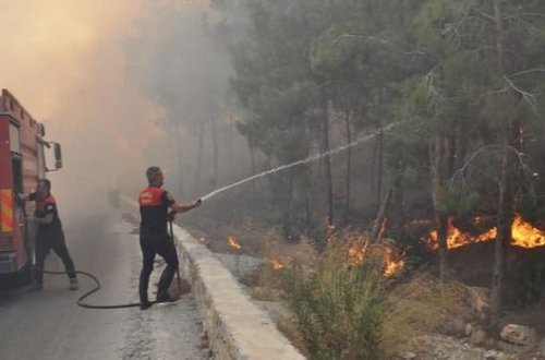 Türkiyədə meşə yanğınları lokallaşdırılıb – FOTO