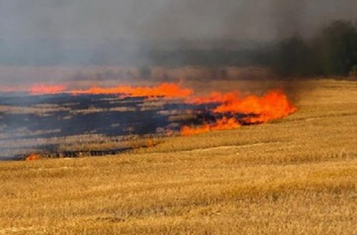 FHN Qəbələdəki yanğınla bağlı məlumat yaydı