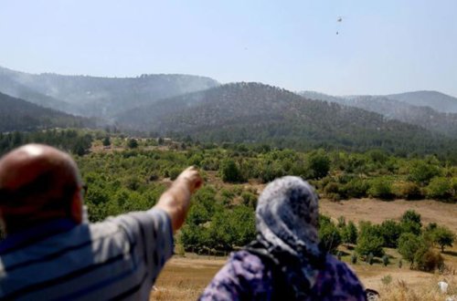 Ankarada meşələrə giriş yasaqlandı