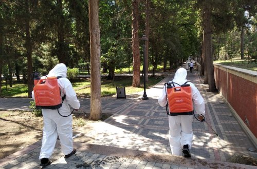 Gəncədə yeni növ koronavirus infeksiyasına qarşı növbəti dezinfeksiya işləri aparılıb - FOTO (ÖZƏL) 