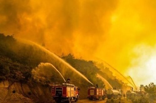 Türkiyədə 11 gündür davam edən meşə yanğını lokallaşdırılıb - FOTO