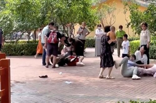 Zooparkda ziyarətçilər arasında kütləvi dava olub - VİDEO