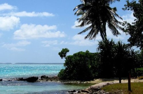 Yox olma təhlükəsi ilə üzləşən ölkələrin adları açıqlanıb