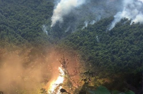 FHN Qəbələdəki yanğınlarla bağlı əhaliyə çağırış etdi - YENİLƏNİB