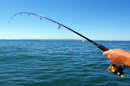 Qanunsuz balıq ovuyla məşğul olan şəxslərin işi məhkəməyə göndərildi - FOTO