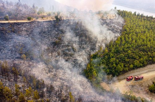 Oğuzda meşədə baş verən yanğın lokallaşdırılıb - YENİLƏNİB