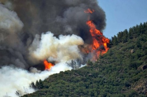 Oğuzda dağlıq ərazidə baş verən yanğın söndürüldü