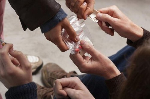 Təhsil ocaqlarının açılması 