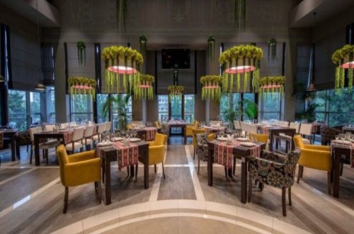 Gürcüstanda restoran və idman zallarına daxil olmaq üçün COVID pasportu tələb edilə bilər