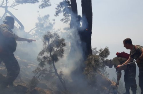 Türkiyədə yanğınların qarşısı belə alındı - Fotolar+Video