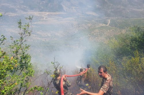 Qəbələdə dağlıq ərazidə yanğın davam edir