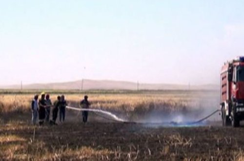 Oğuzda 75 hektar sahə yandı