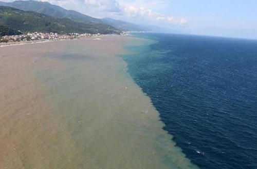 Qara dənizin rəngi qəhvəyiyə döndü – VİDEO