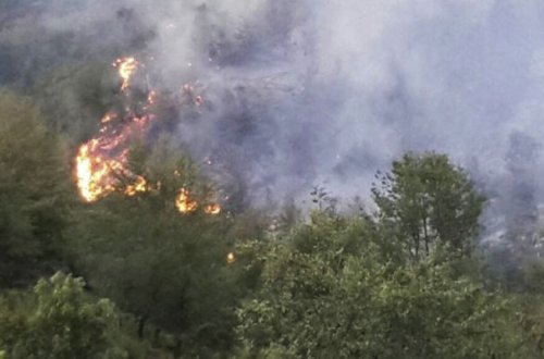 Şəmkirdə dağlıq ərazidə yanğın başlayıb