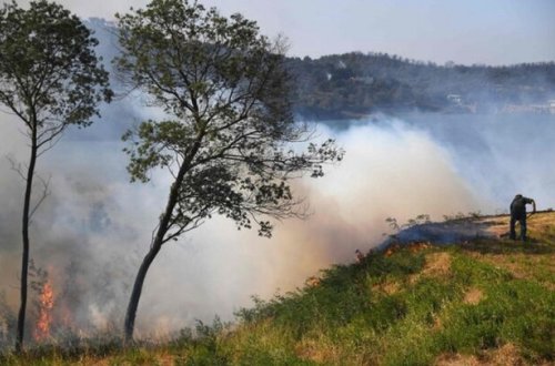 İstanbulda meşə yanğını başlayıb