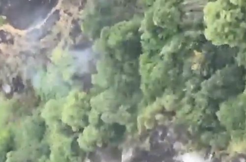 Bakıda ağaclıq ərazidə yanğın