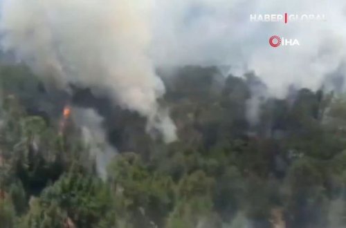 Antalyada yenidən meşə yanğınları başlayıb – VİDEO