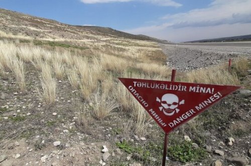 Azad olunan ərazilərdə daha 81 mina aşkarlandı - FOTO