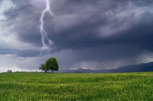 ETSN: “Şimşək çaxan ərazidə növbətçilik təşkil edilib”