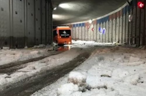 Türkiyədə daha bir “iqlim möcüzəsi” - VİDEO