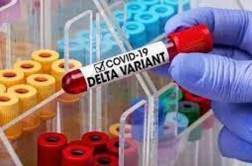 “Delta” ştammı dünyanın səhiyyə sistemini çökdürür