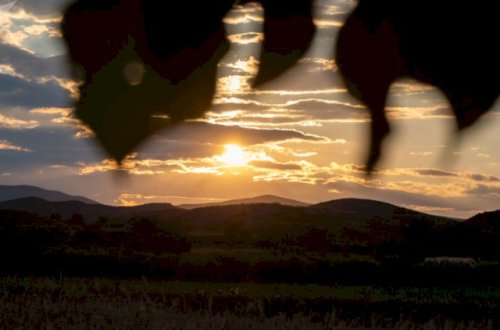 Ermənistanda dəhşətli yanğınlar gözlənilir