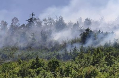 Пожар в горной местности Огузского района потушен