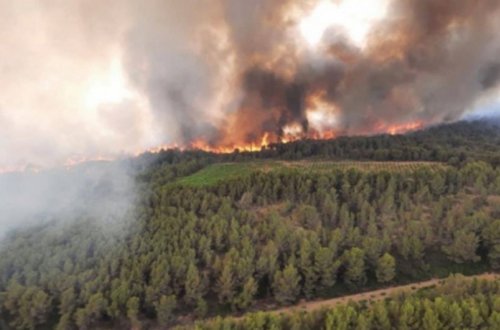 Fransada meşə yanğınları nəticəsində 2 nəfər ölüb