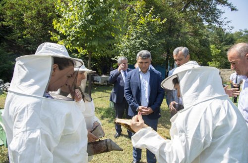 Nazir İnam Kərimov Zaqatala və Balakəndə fermerlərlə görüşüb, tədarük məntəqələrinə və təsərrüfatlara baş çəkib