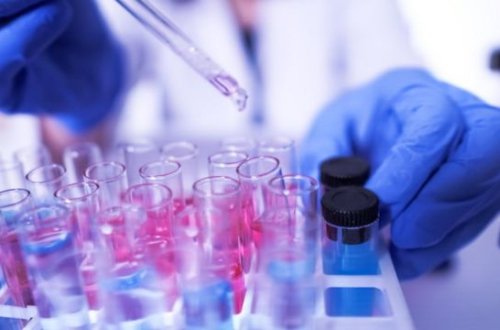 Azərbaycanda 23 yaşlı müəllim koronavirusdan vəfat etdi - FOTO