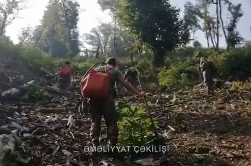 Qəbələdə dağlıq ərazidə baş verən yanğın nəzarət altına alındı - VİDEO