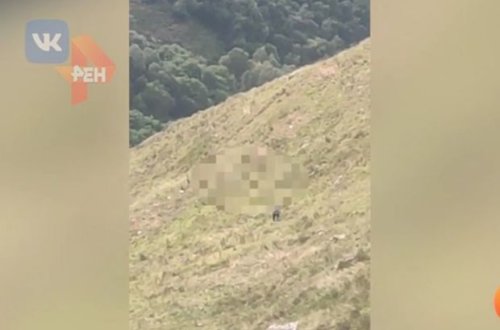 Dağlarda əyləncə faciə ilə bitdi - VİDEO